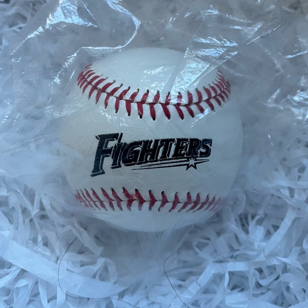 NEW Hokkaido Nippon Ham Fighters Japanese Soft Baseball Team Logo